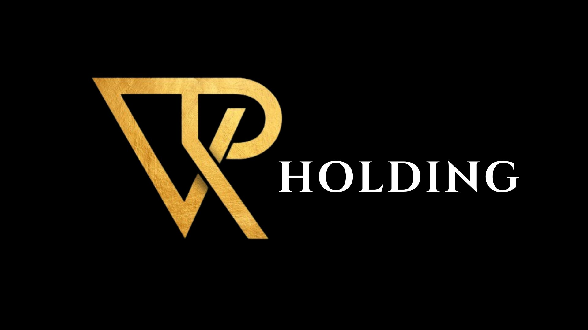 VR Holding