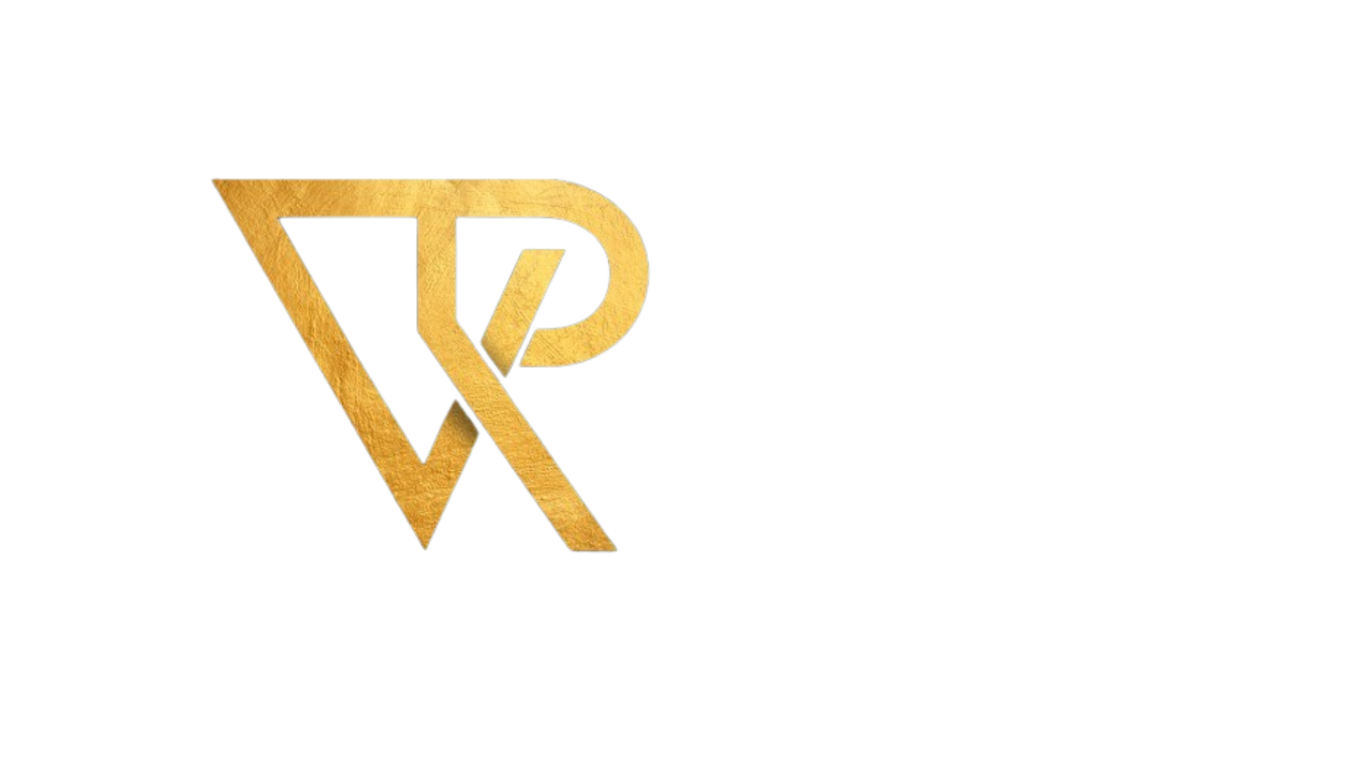 VR Holding